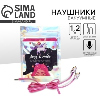 Наушники вакуумные на молнии &laquo;Лечу к тебе&raquo;, 10 х 15 см