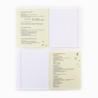 Предметная тетрадь А5, 48 л на скрепке &laquo;Яркий. Русский язык&raquo; ТВИН лак, уф лак, конгрев