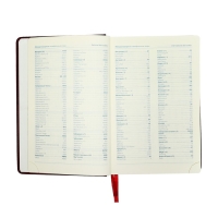 Ежедневник датированный 2025 года, A5, 168 листов в линейку, кожзам "Небраска", золотой срез, бордовый