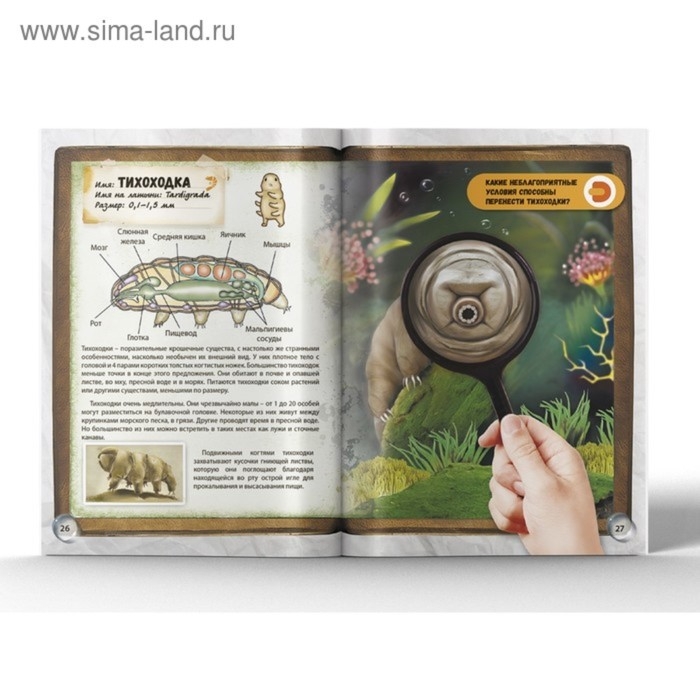 Энциклопедия 4D в дополненной реальности &laquo;Мир под микроскопом&raquo;