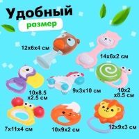 Набор погремушек с прорезывателями &laquo;Зоопарк&raquo;, в кейсе