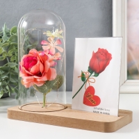 Фоторамка 9х13 см свет "Розовая роза в колбе" от батареек 2хLR1130 9,8х19,5х18 см