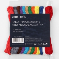 Набор ниток мулине хлопок 8&plusmn;1м (наб 12шт цена за наб) №19 TR