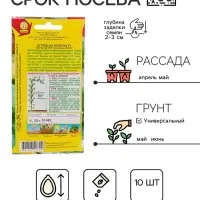 Семена Огурец "На вилочку" F1, скороспелый, партенокарпический, 10 шт