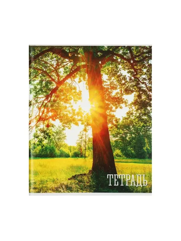 Тетрадь 48 листов в клетку, Calligrata &laquo;Времена года&raquo;, обложка мелованная бумага, серые листы, МИКС