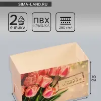 Коробка для 2 капкейка с прозрачной крышкой, &laquo;Счастливых моментов&raquo;, 16&times;8&times;10 см