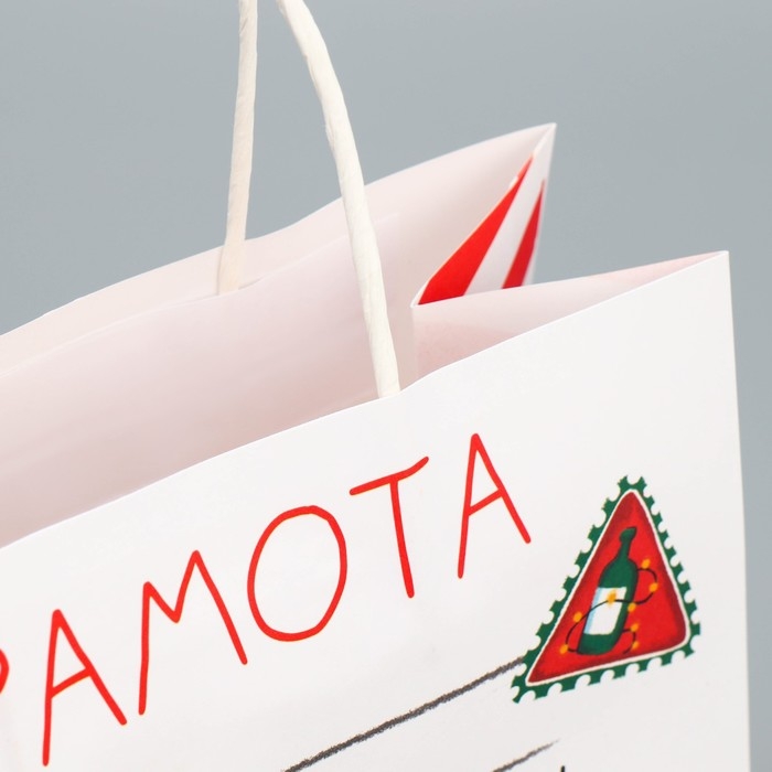 Пакет подарочный новогодний крафтовый &laquo;Молодец&raquo;, 22 х 22 х 11 см, Новый год