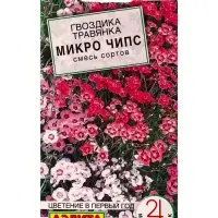 Семена цветов Гвоздика Микро чипс многолетняя, смесь сортов Мн Многолетники., Ц/П,0,05 г