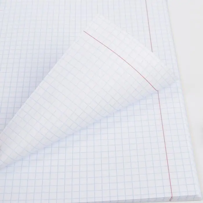 Тетрадь в клетку, предметная, 48 л.,на скрепке, А5 &laquo;ПЕРСОНАЖИ. Геометрия&raquo;