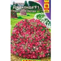 Семена цветов Петуния Джоконда F1 пурпурно-белая  (драже в пробирке) С. Farao, Ц/П,5 шт.