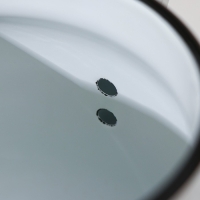 Чайник эмалированный &laquo;Дары лета&raquo;, 3,5 л, цвет белый