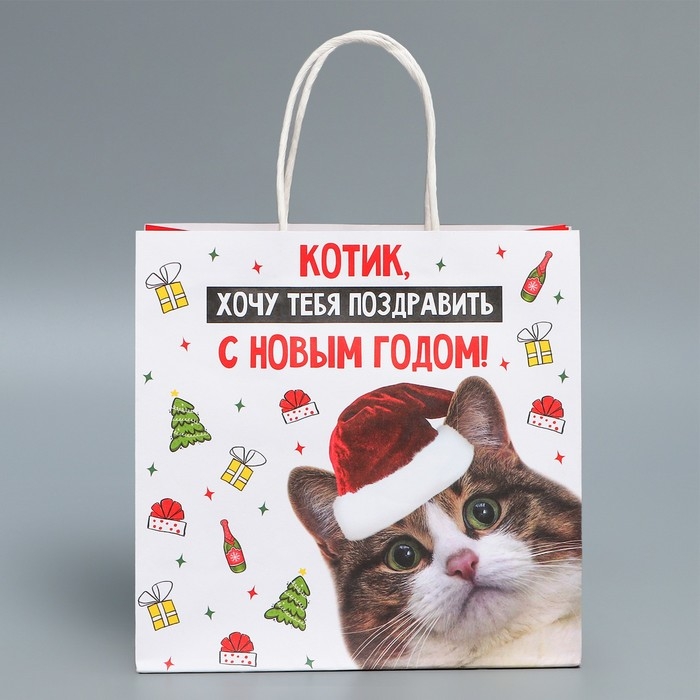 Пакет подарочный новогодний крафтовый &laquo;Котик&raquo;, 22 х 22 х 11 см, Новый год