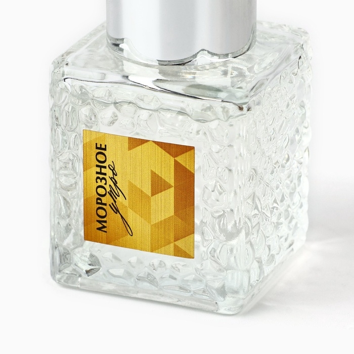 Аромадиффузор ароматический палочки &laquo;Новогодняя коллекция: Морозное утро&raquo;, 50 мл