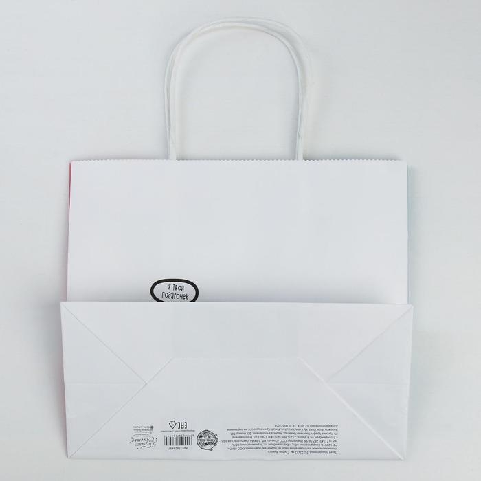 Пакет подарочный крафтовый, упаковка, &laquo;Котик&raquo;, 25 х 22 х 12 см