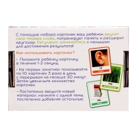 Развивающий набор &laquo;200 слов&raquo;, учимся и развиваемся, по методике Глена Домана