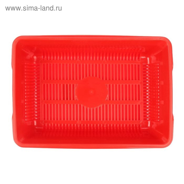 Туалет глубокий с сеткой 36 х 25 х 9 см, красный
