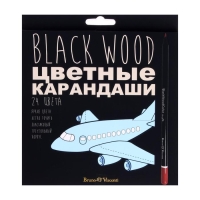 Карандаши 24 цвета BlackWoodColor, пластиковые, трёхгранные, МИКС