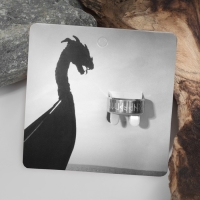 Кольцо &laquo;Вальхалла&raquo; с рунами, цвет белый в серебре, 17 размер