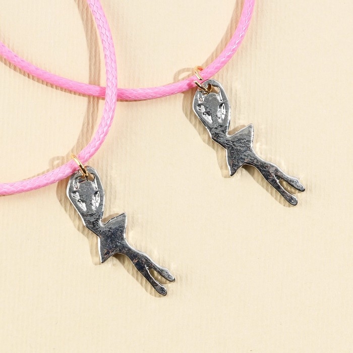 Кулоны неразлучники &laquo;Лучшей подруге&raquo;, 2 шт, длина 50 см