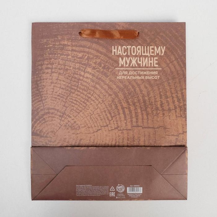 Пакет подарочный крафтовый вертикальный, упаковка, &laquo;Нереальных высот&raquo;, M 25.5 х 30 х 9 см