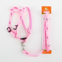 Комплект "Цветные следы", ширина 1 см, поводок 120 см, шлейка 23-35 см, розовый