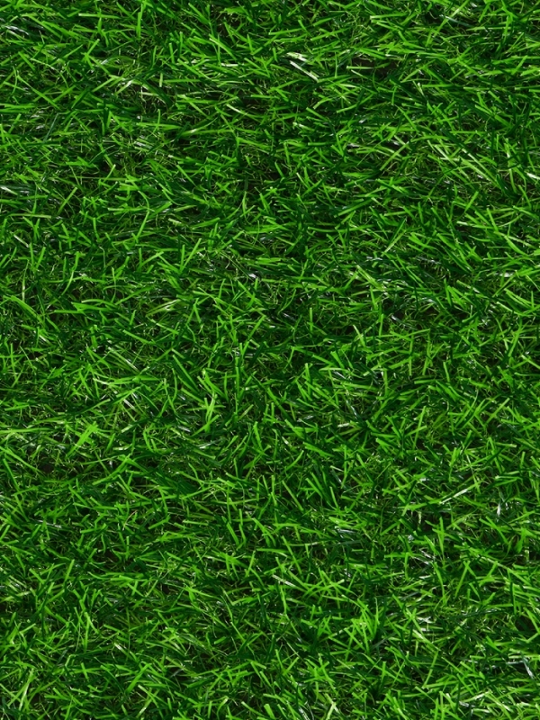 Газон искусственный, ворс 30 мм, 1 &times; 2 м, зелёный, Greengo