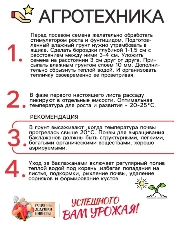 Семена Баклажан &laquo;Чёрный красавец&raquo;, 0.3 г