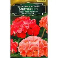 Семена цветов Пеларгония Элитная F1 кораллово-красная, смесь сортов Мн Золотая серия, Ц/П,5 шт. 1094