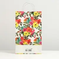 Пакет подарочный "Пёстрость", крафт, 40.5 x 24.8 x 9 см