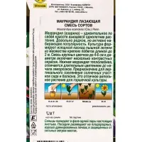 Семена цветов Маурандия лазающая, смесь сортов  Золотая серия, Ц/П,5 шт.