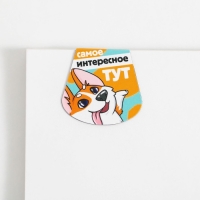 Закладки магнитные для книг, 3 шт &laquo;Корги&raquo;