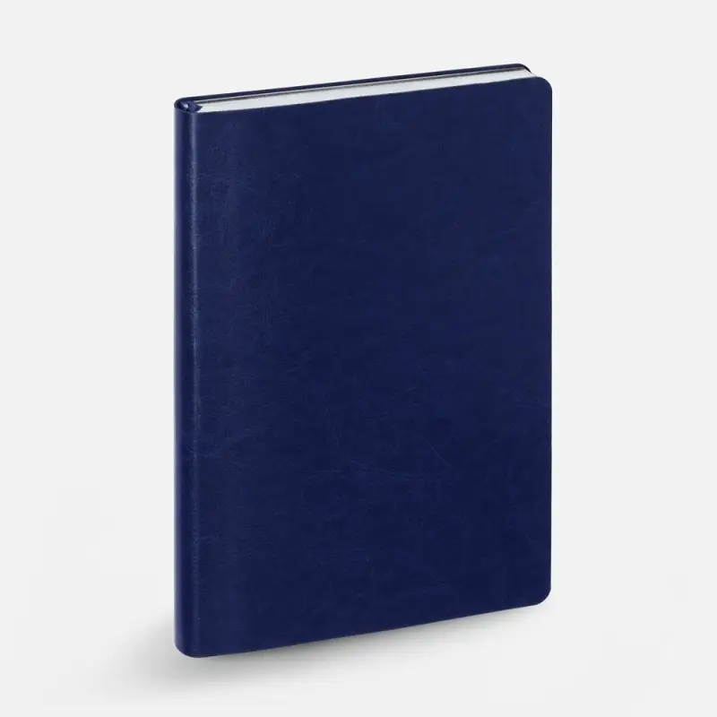 Ежедневник Nebraska Flex, недатированный, синий с серебром