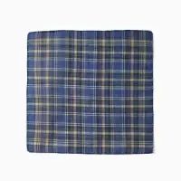 Платки носовые мужские Экономь и Я "Квадрат" 38*38 см, (набор 10 шт), рис. МИКС,100% пэ