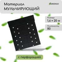 Материал мульчирующий, с перфорацией (4 ряда), 20 &times; 1,6 м, плотность 80 г/м&sup2;, спанбонд с УФ-стабилизатором, чёрный, Greengo, Эконом 30%