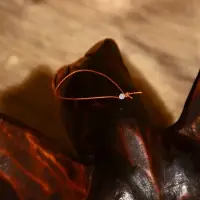 Сувенир "Черепаха" албезия 30х20х6 см