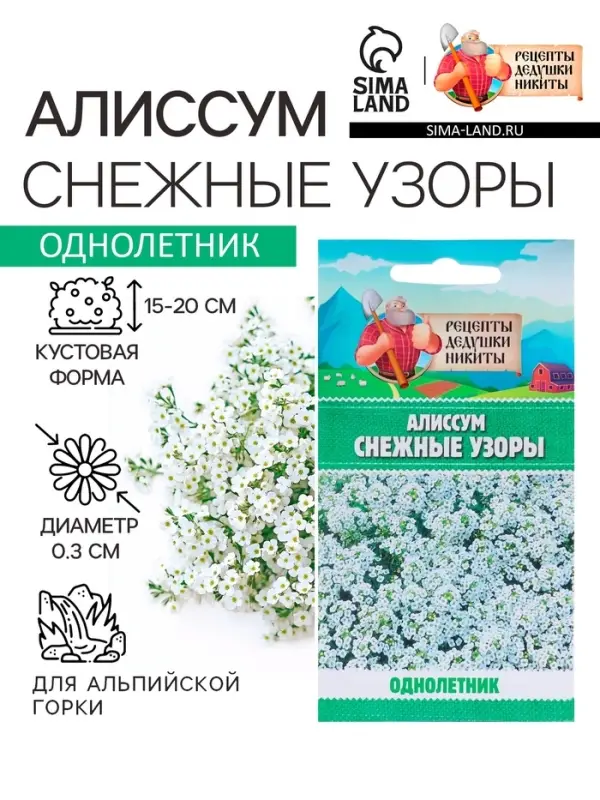 Семена цветов Алиссум "Снежные узоры", 5 шт.