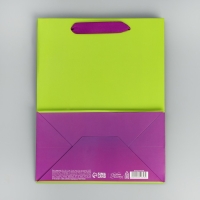 Пакет подарочный двухцветный, упаковка, &laquo;Салатовый-сиреневый&raquo;, MS 18 х 23 х 10 см