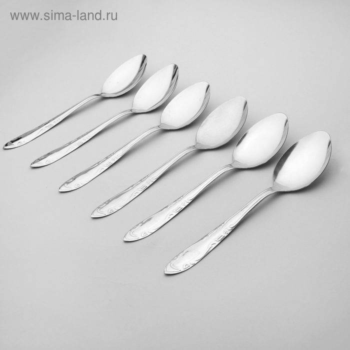 Набор столовых ложек &laquo;Общепит&raquo;, толщина 0,7 мм, длина 19 см, 6 шт, цвет серебряный