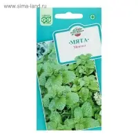 Семена Мята садовая "Ментол", ц/п,  0,05 г