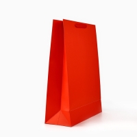 Пакет подарочный новогодний ламинированный &laquo;С Новым годом&raquo;, глиттер, L 31 х 40 х 11.5 см, Новый год