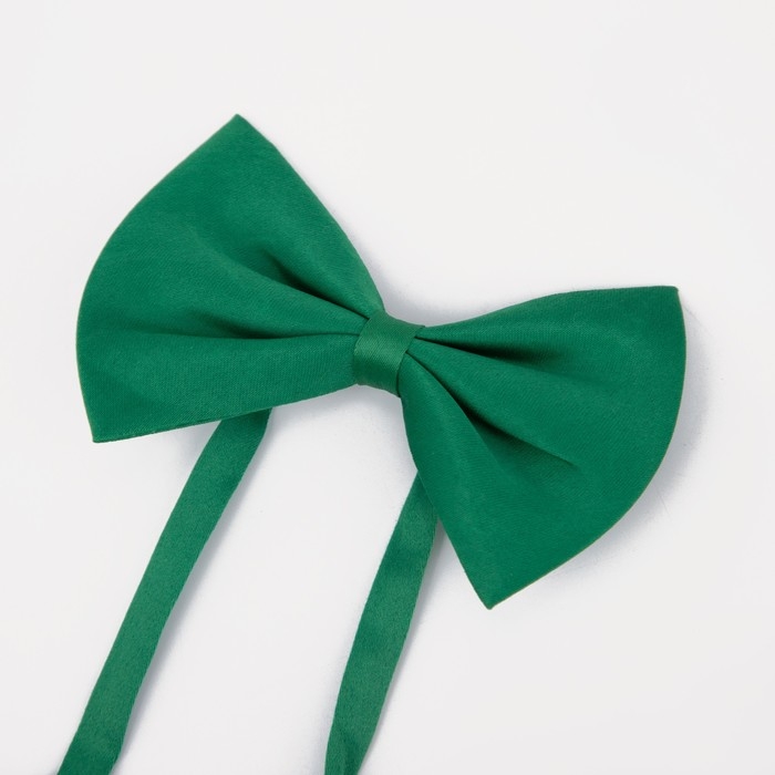 Подтяжки детские &laquo;Выбражулька&raquo;, ширина 2.5 см, бабочка, цвет зелёный