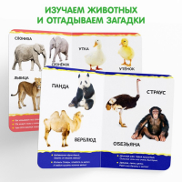 Книги картонные набор &laquo;Для малышей&raquo; № 1, 4 шт., 10 стр.