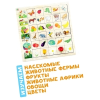 Развивающая игра &laquo;Ассоциации природа&raquo; из дерева