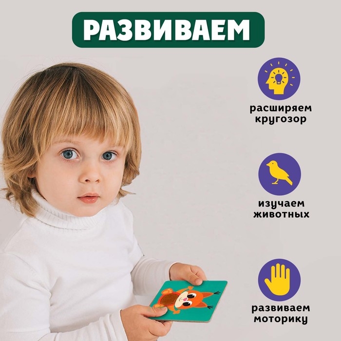 Развивающий набор &laquo;Животные леса&raquo;, тактильные карточки