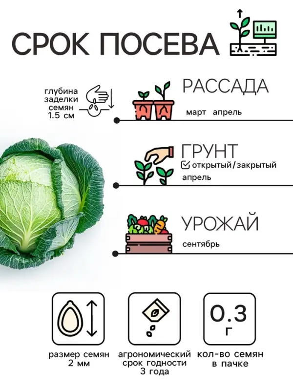 Семена Капуста белокочанной "Вьюга", 0,3 г