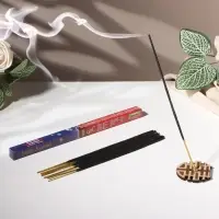 Благовония "Зодиак СКОРПИОН &ndash; пачули", 8 палочек