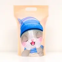 Пакет подарочный, с zip-lock застежкой, "Зимние котята", 15х22см.