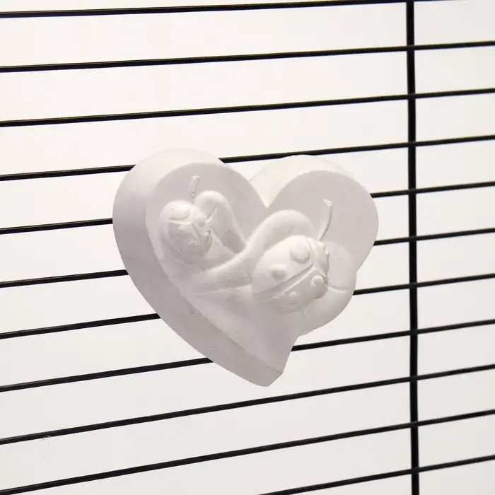 Минеральный камень "Пижон" для птиц сердце с углем, 60 г