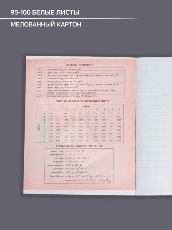 Тетрадь предметная 48 листов в клетку Calligrata, &laquo;Футбол. Алгебра&raquo;, обложка мелованный картон
