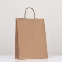 Пакет крафт без печати 24&times;11&times;32 см